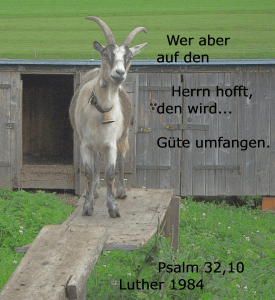Den ganzen Psalm lesen, um mehr zu erfahren.