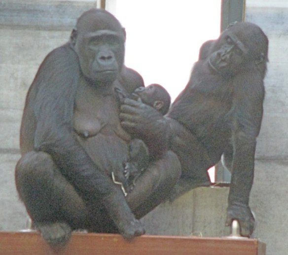 christenfindenruhe.com Bild