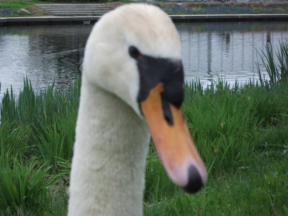 christenfindenruhecom Bild 23