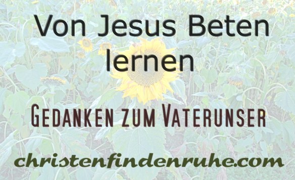 IMG_1431hellerhTTTMOP