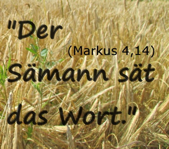 Juli 2014 203hellerMOPT