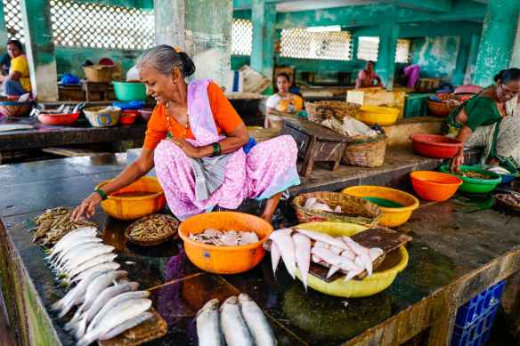 woman sitting near fishes and basins